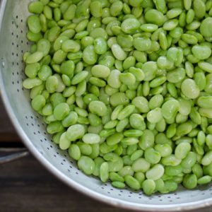 Beans - Southwestern Produce | Dothan, AL