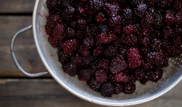 Blackberries