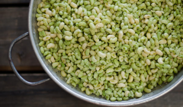 Conk Peas 4 lbs. Unblanched