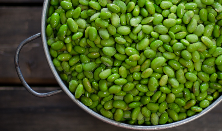Edamame Beans (Green Soy) (8 lbs)