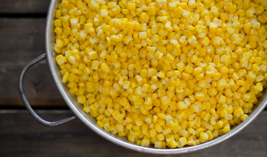 Yellow Corn (8 lbs)