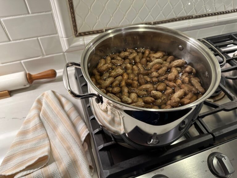 Boiled Peanuts